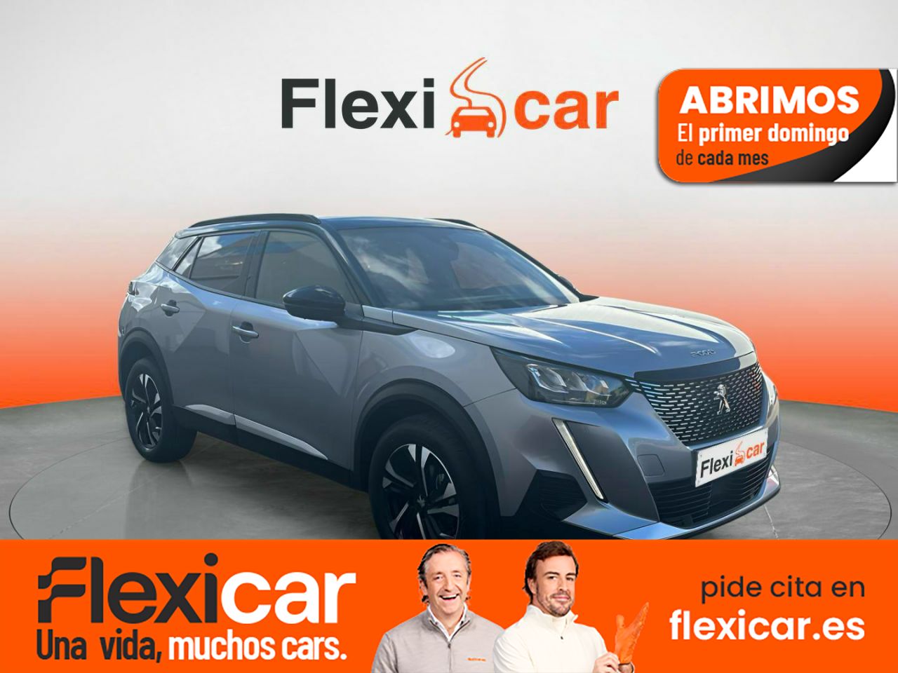 Gran nave parcela  de segunda mano - peugeot 2008 2023 /
