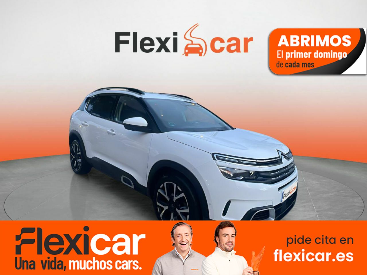 Citroen c5 aircross diesel 131cv  de segunda mano - citroën c5 aircross 2019 /