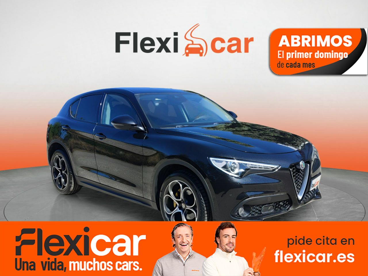 Foto alfa romeo stelvio 2019 /