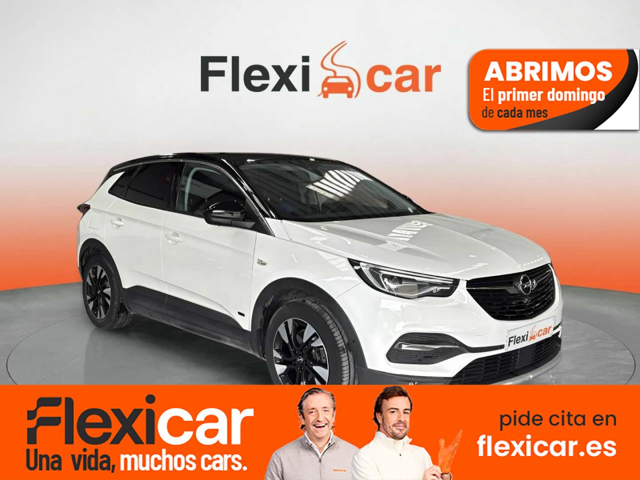Trio san jose  de segunda mano - opel grandland x 2021 /