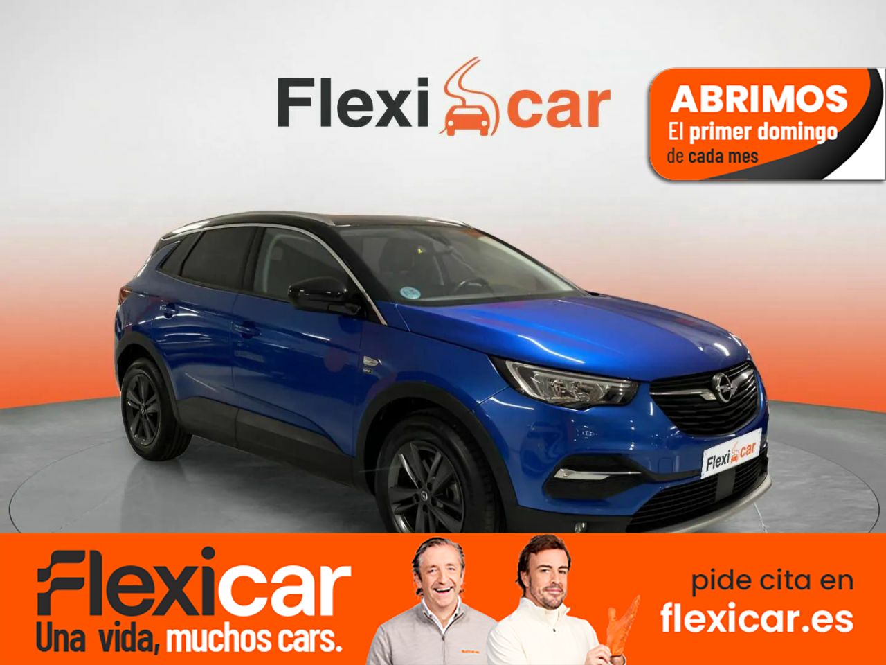 Volvo xc90 2020 alcala de henares  de segunda mano - opel grandland x 2020 /