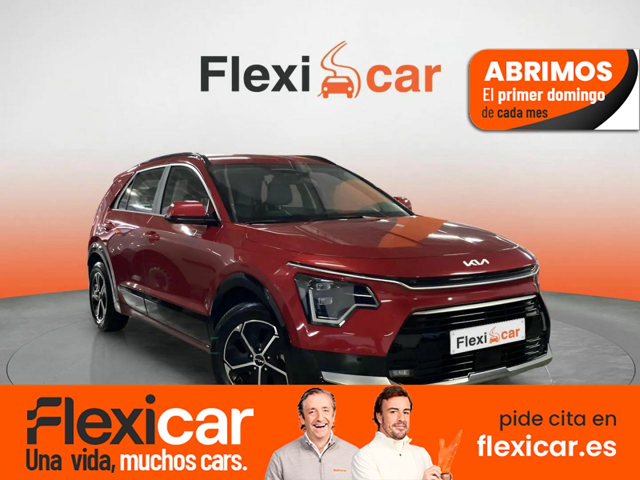 Finca de 25 ha en andalucia  de segunda mano - kia niro 2024 /