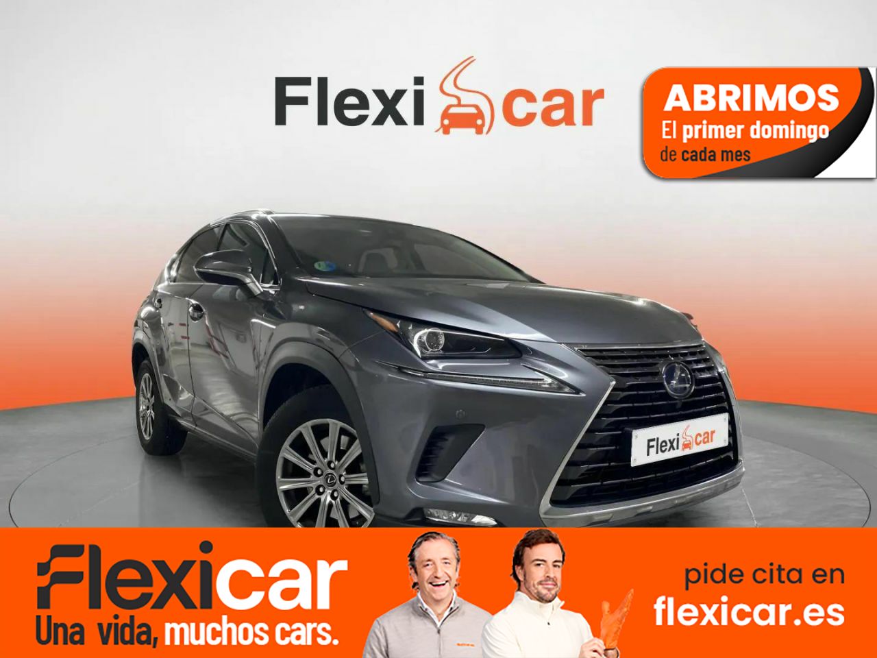 Foto lexus nx 2019 /