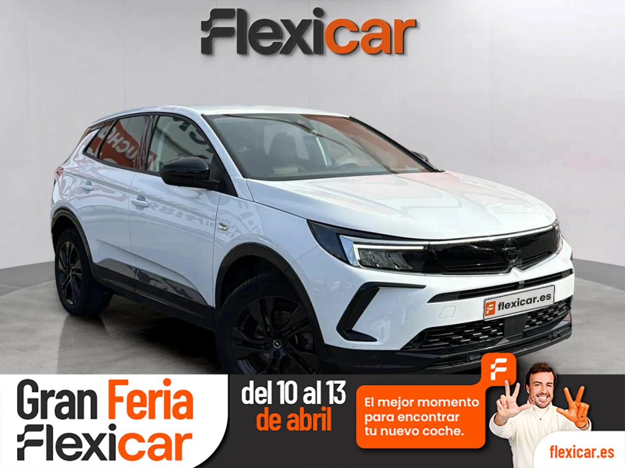 Mono titi de asturias  en Asturias - opel grandland 2023 /