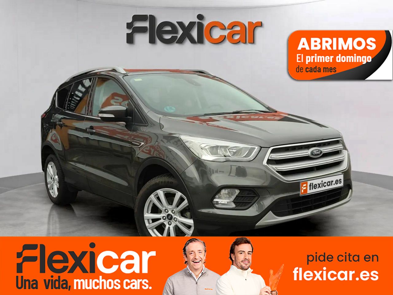 Mono titi de asturias  en Asturias - ford kuga 2018 /