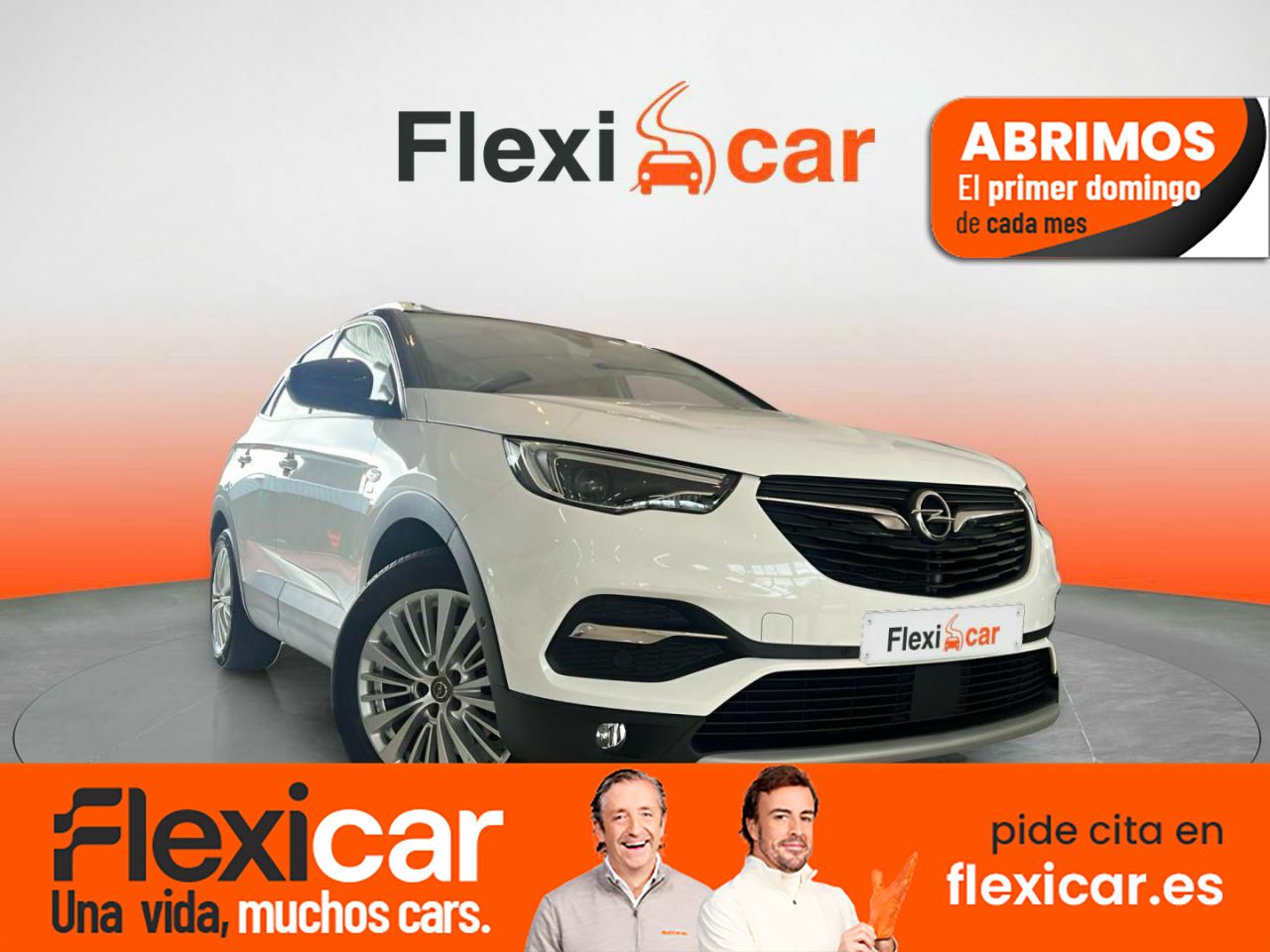 Foto opel grandland x 2019 /