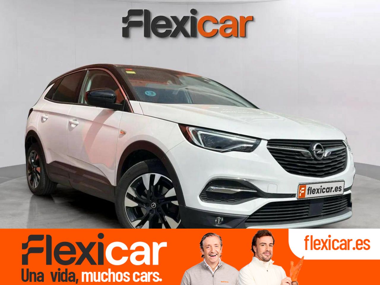 Foto opel grandland x 2021 /