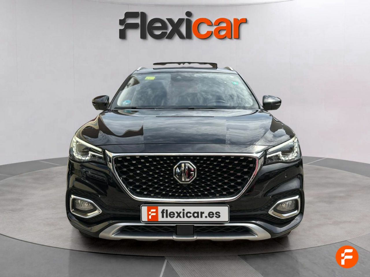 mg ehs 2021 / foto grande (2)