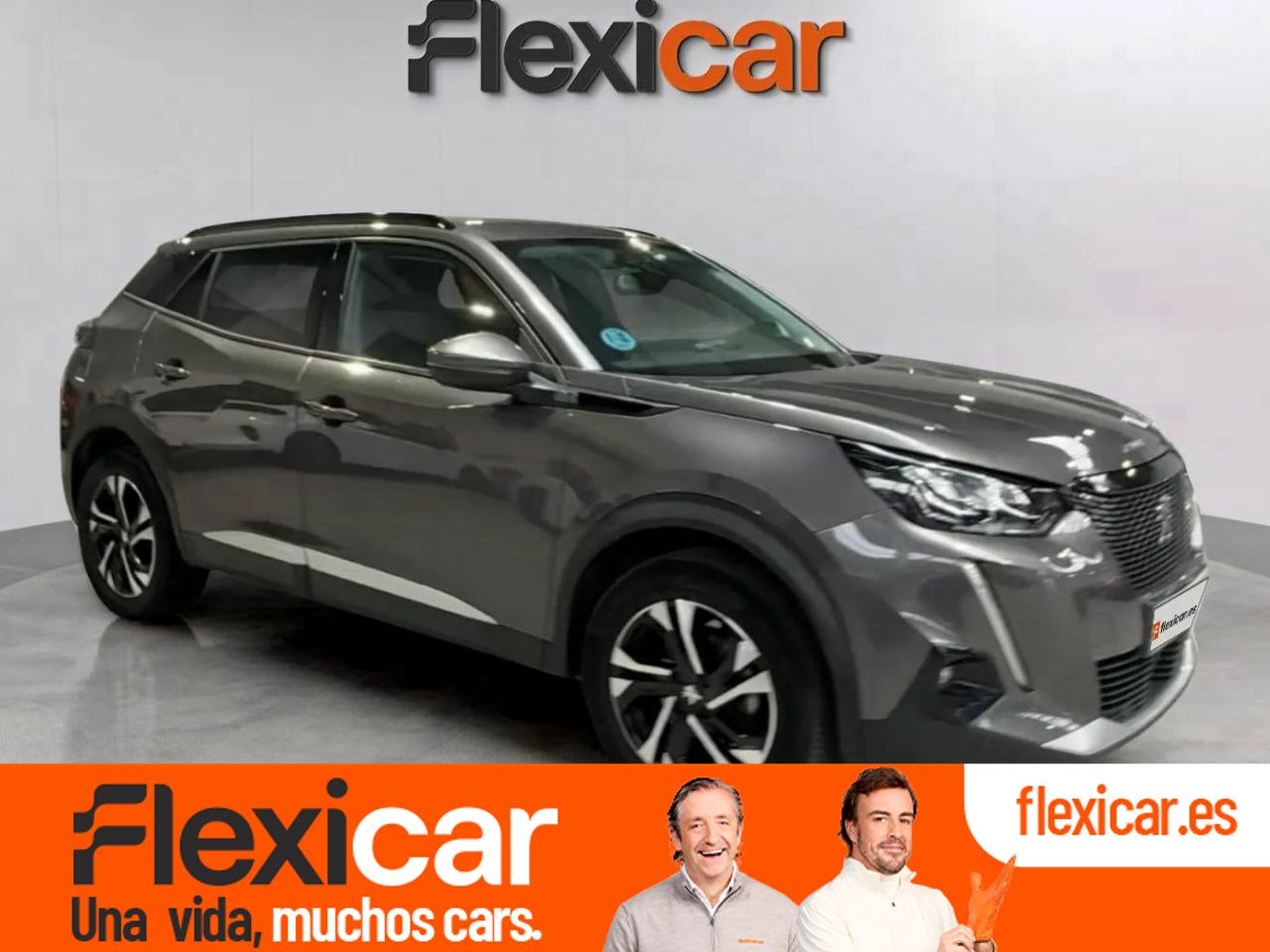 Mono titi de asturias  en Asturias - peugeot 2008 2021 /