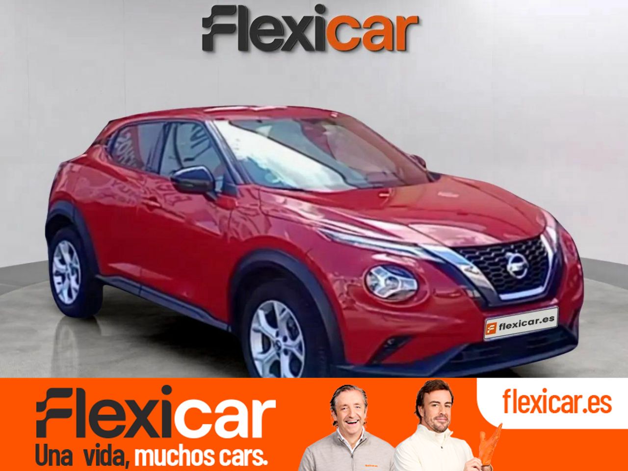 Mono titi de asturias  en Asturias - nissan juke 2021 /