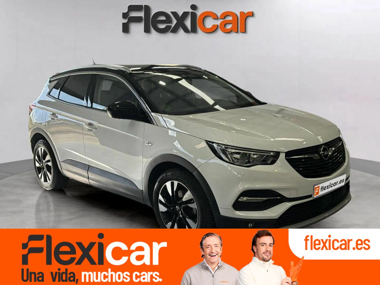 Foto opel grandland x 2019 /