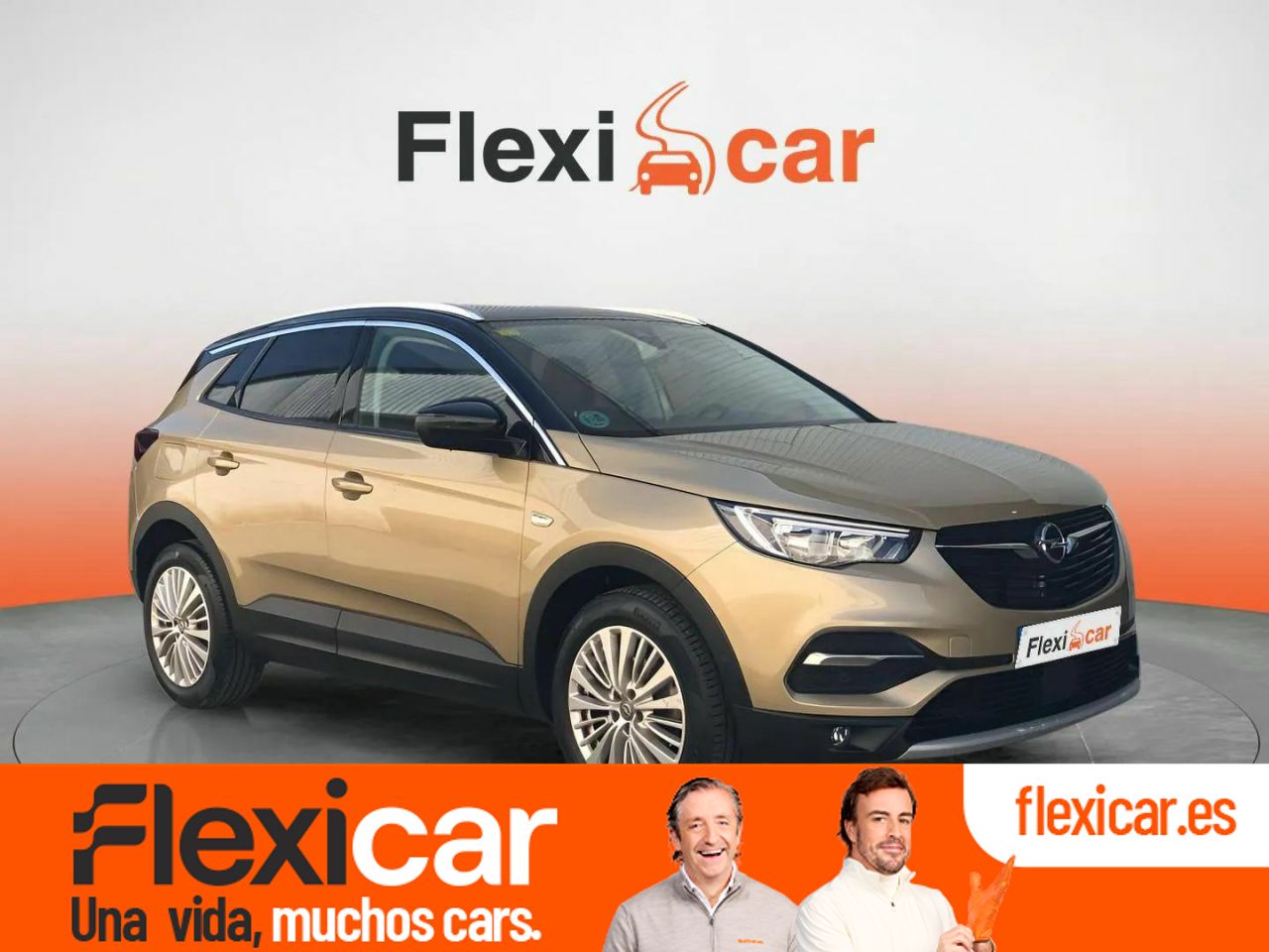 Foto opel grandland x 2018 /