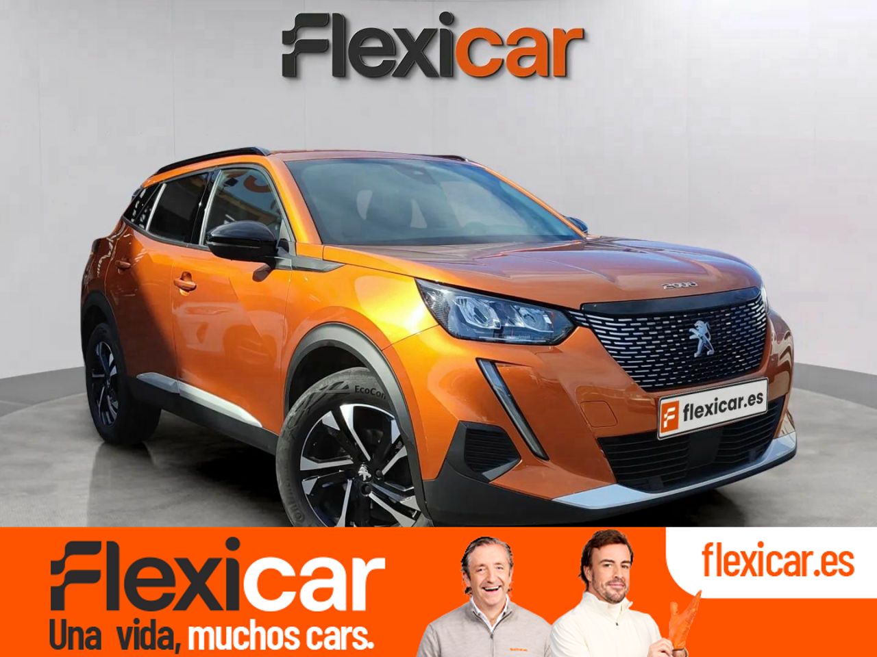 Mono titi de asturias  en Asturias - peugeot 2008 2023 /