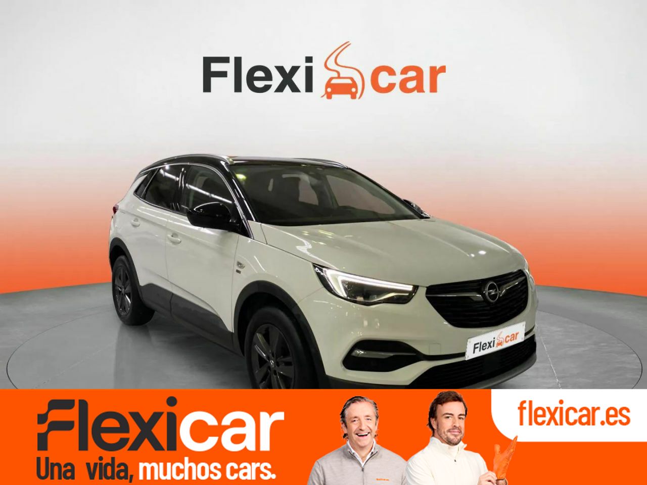 Foto opel grandland x 2019 /