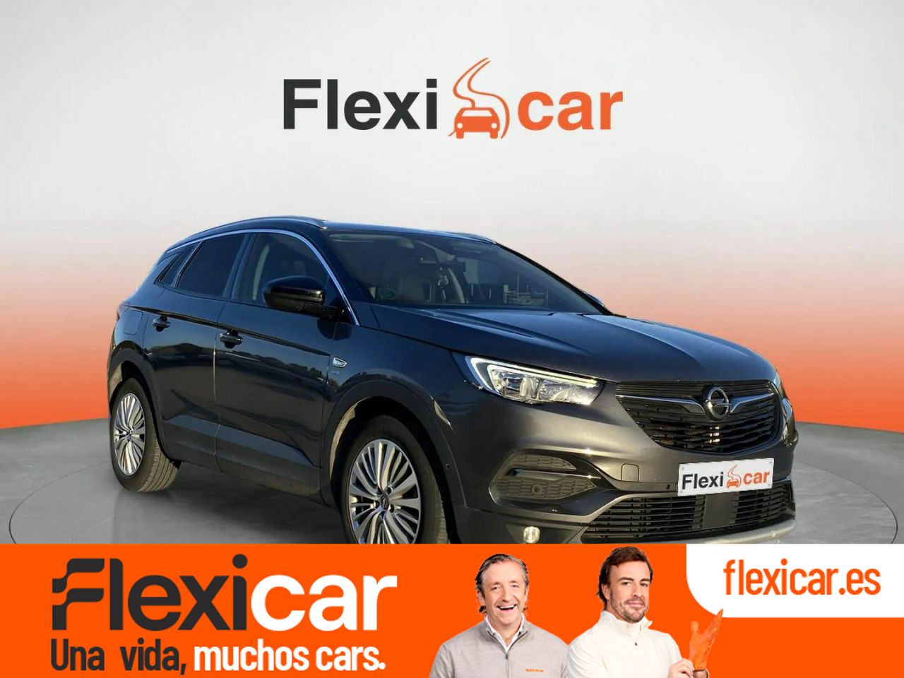 Local olias rey toledo  de segunda mano en Toledo - opel grandland x 2019 /