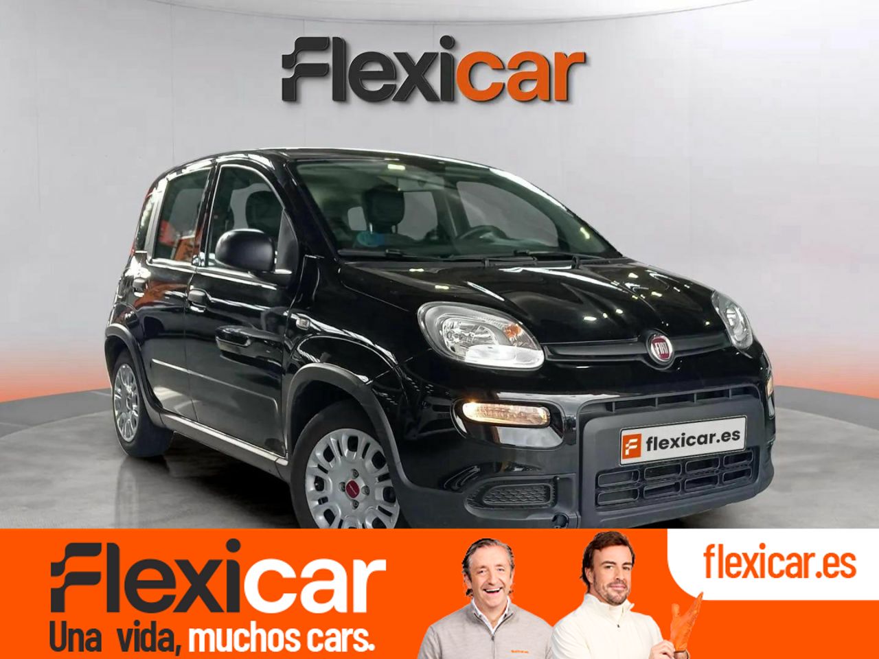 Fiat punto 2017  de segunda mano - fiat panda 2023 /