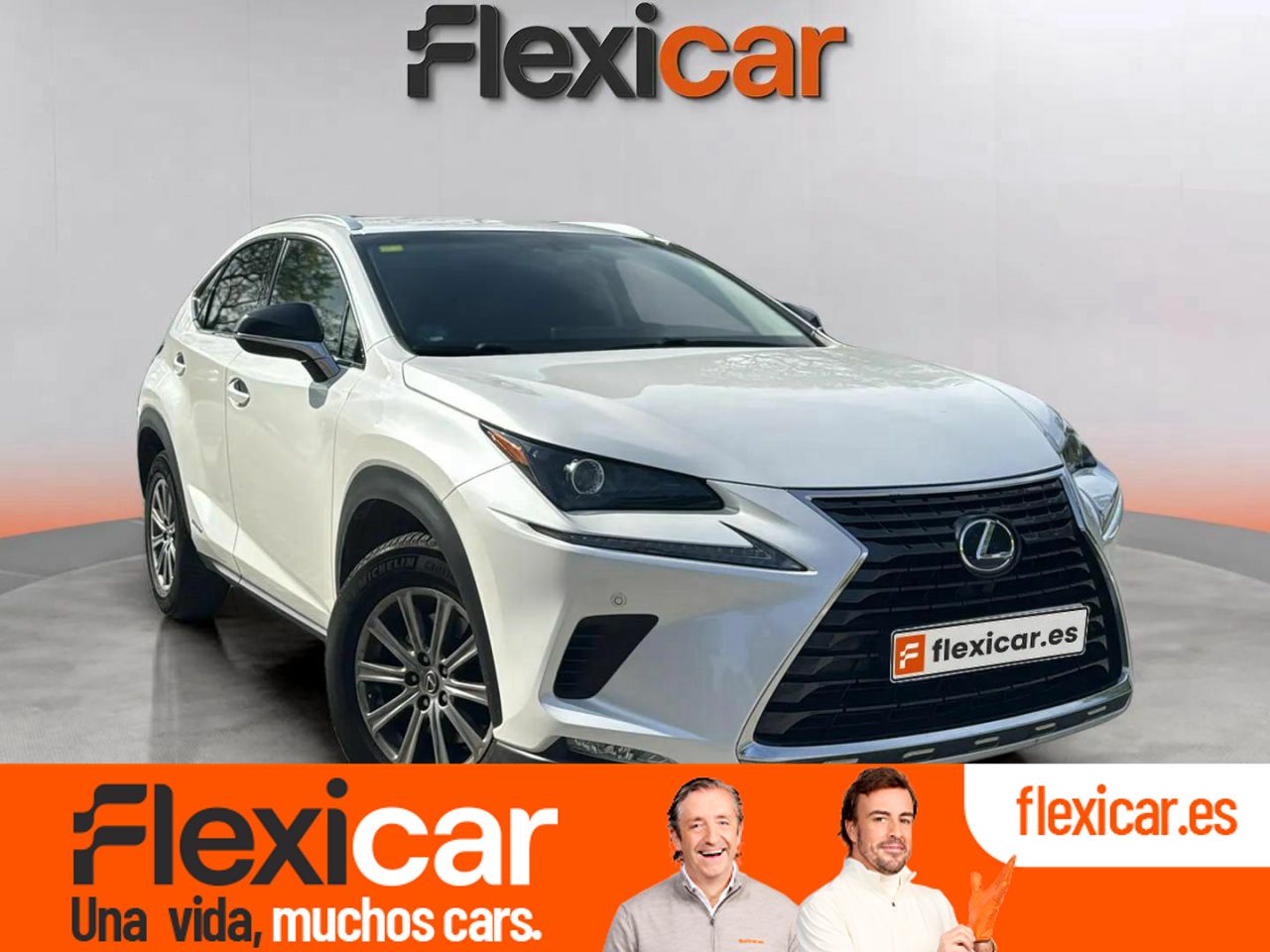 Foto lexus nx 2018 /