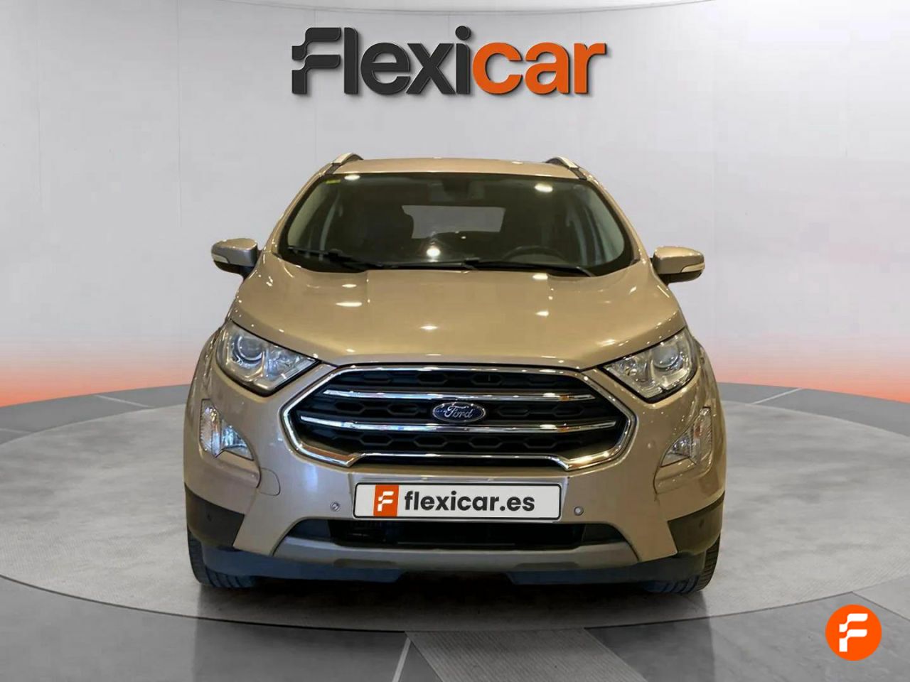 ford ecosport 2018 / foto grande (2)
