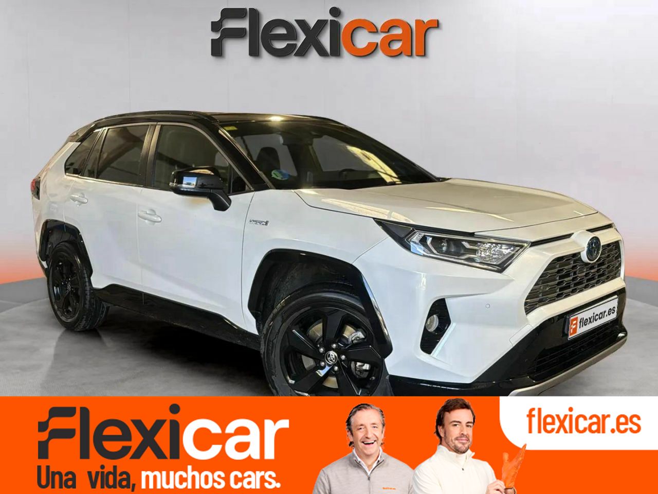 Foto toyota rav4 2019 /