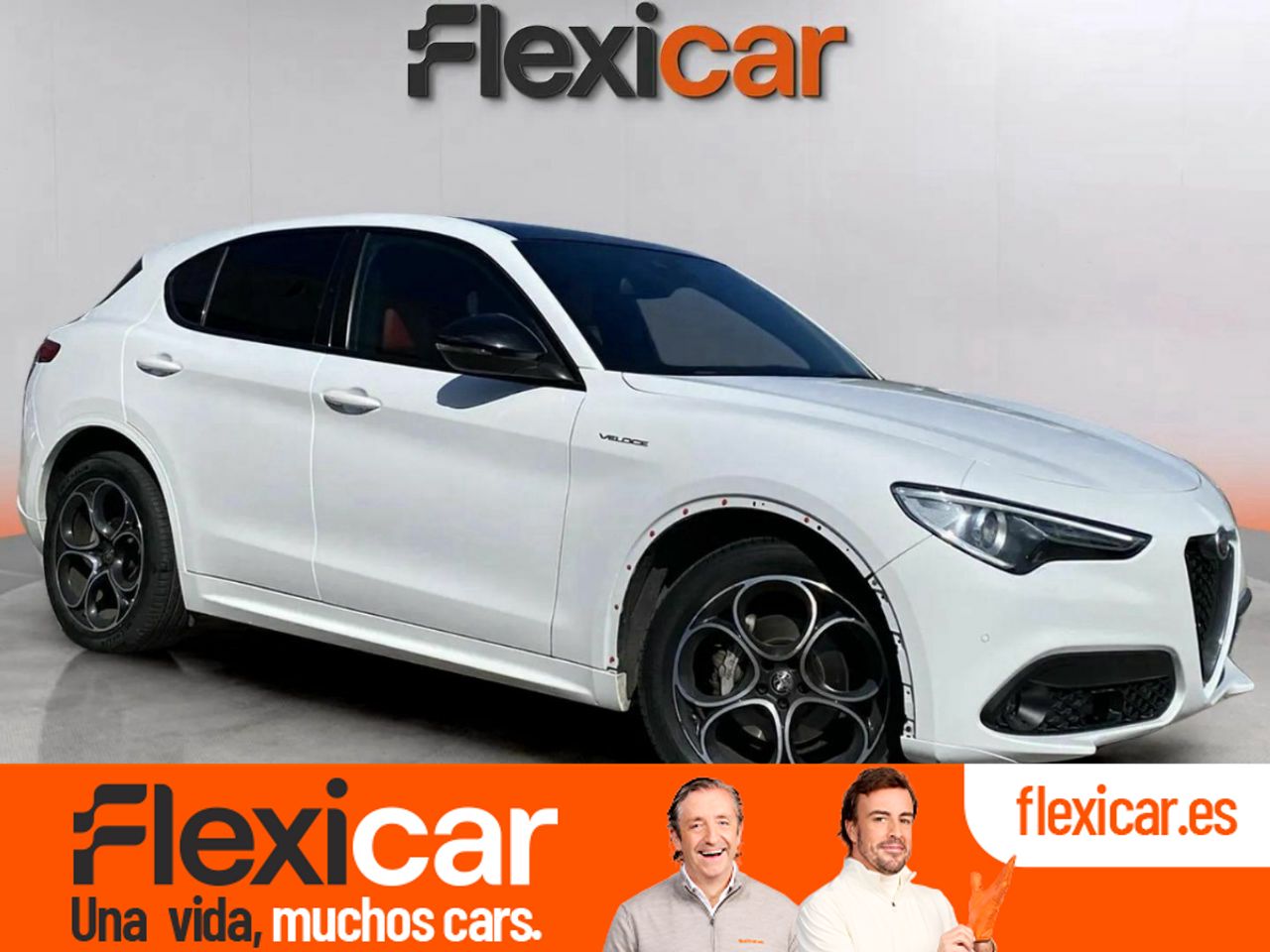 Foto alfa romeo stelvio 2022 /