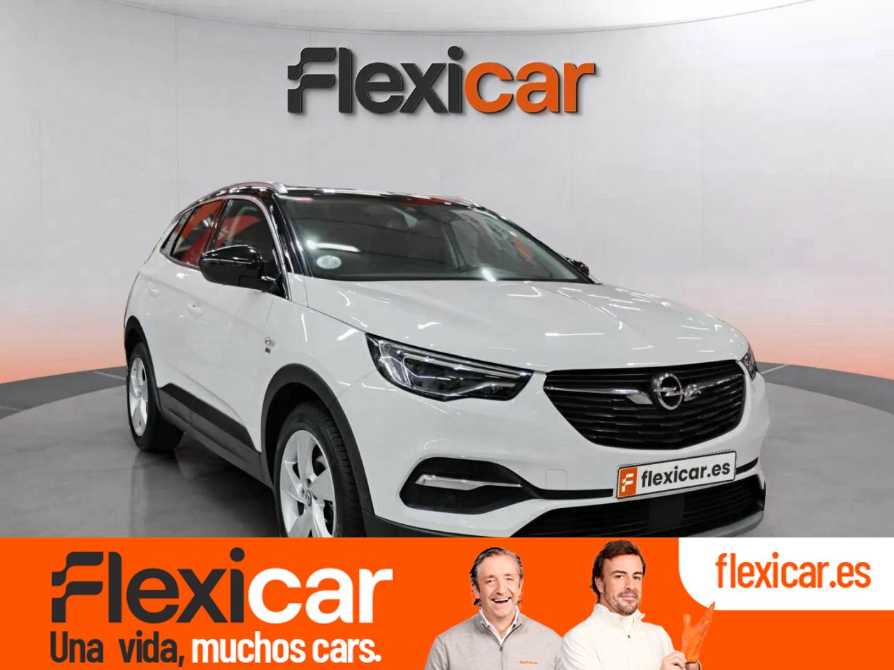 Foto opel grandland x 2019 /
