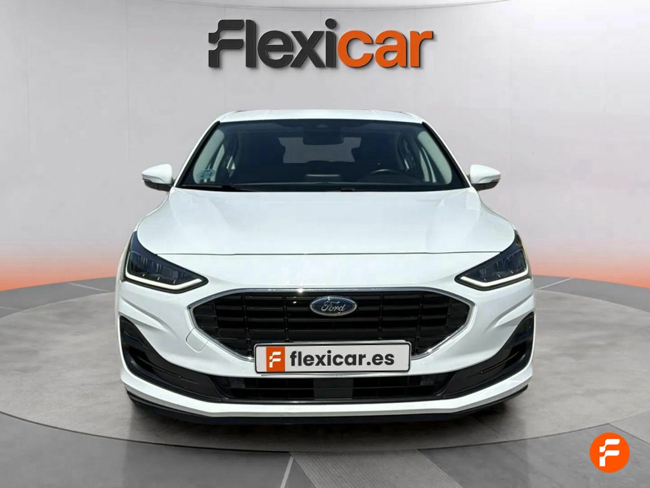 ford focus 2022 / foto grande (2)