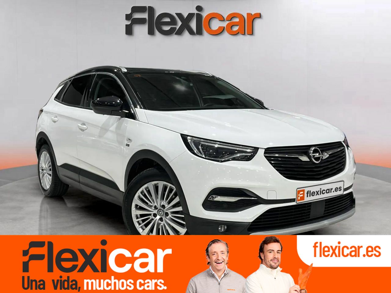 Foto opel grandland x 2021 /