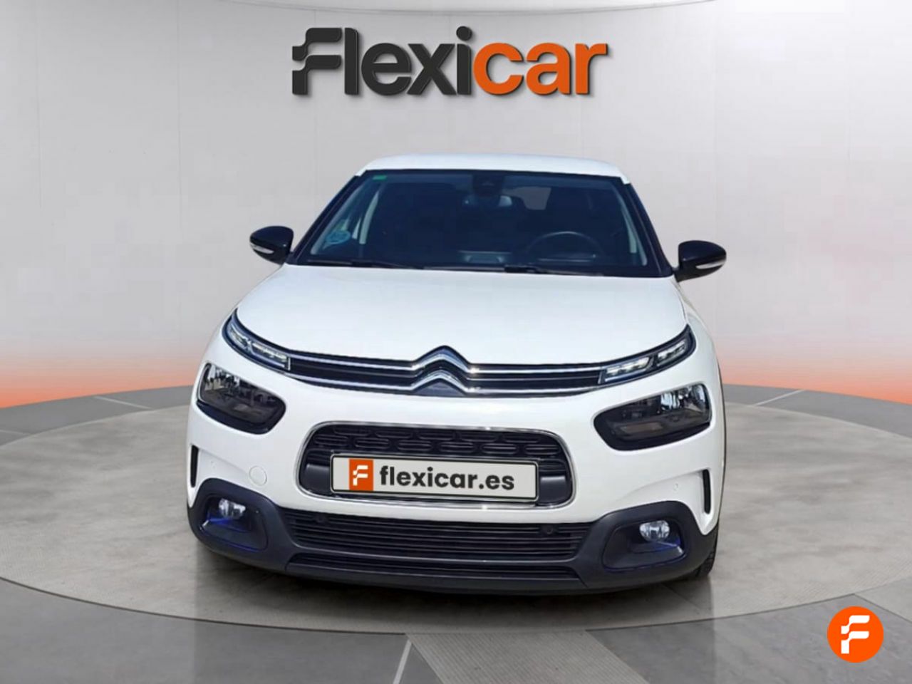 citroën c4 cactus 2019 / foto grande (3)