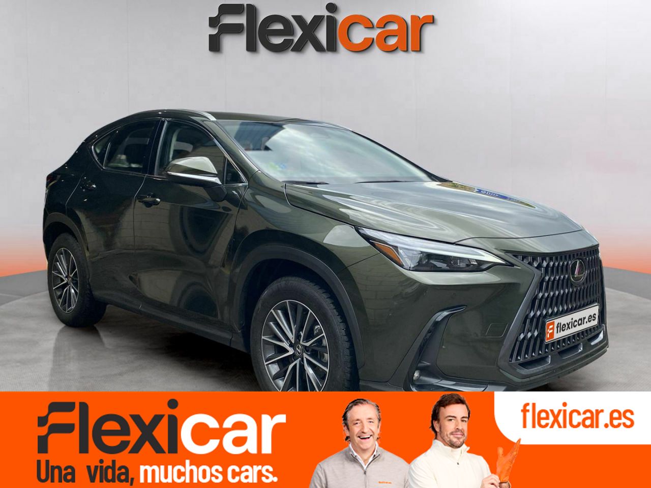 Foto lexus nx 2024 /