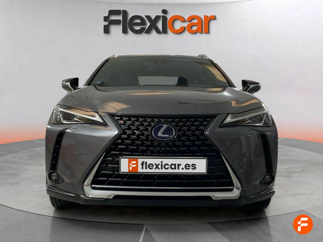 lexus ux 2019 / foto grande (2)