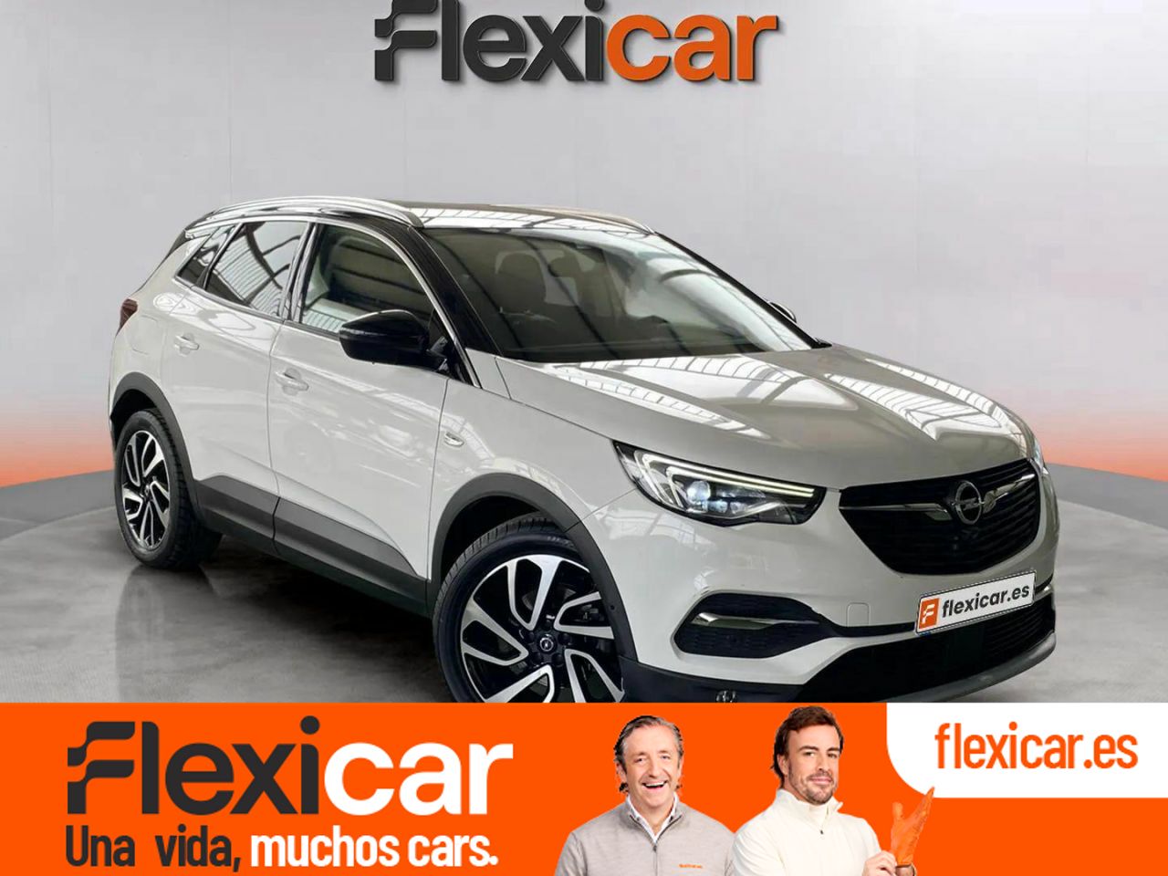 Foto opel grandland x 2019 /