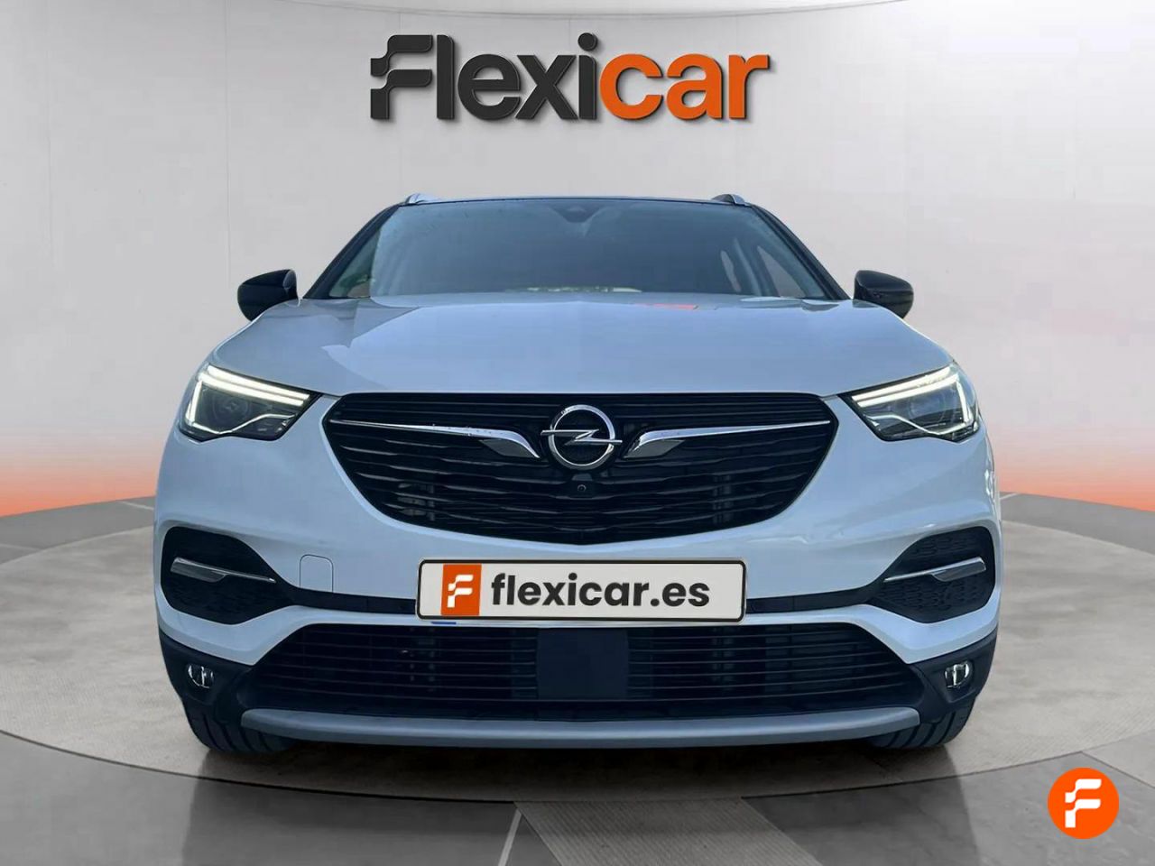 opel grandland x 2019 / foto grande (2)