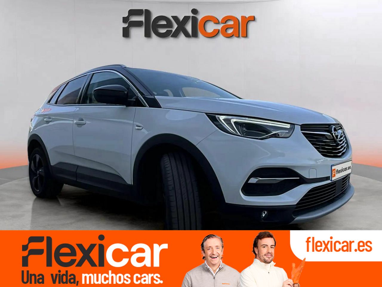 Foto opel grandland x 2019 /