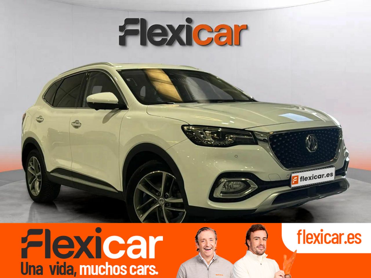 mg hs 2022 /
