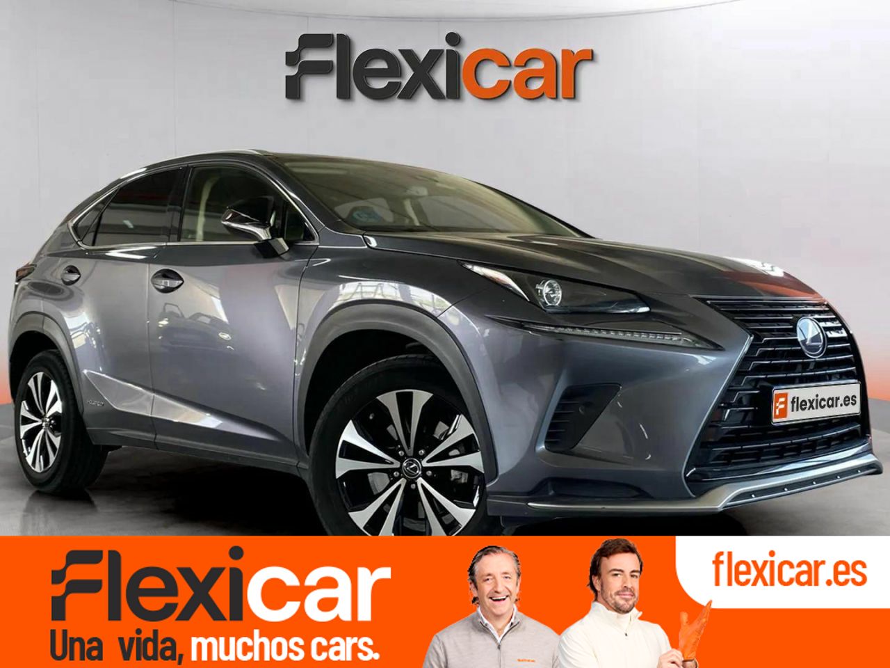 Foto lexus nx 2021 /