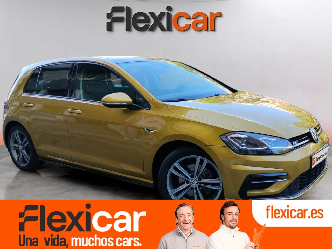 Foto volkswagen golf 2017 /
