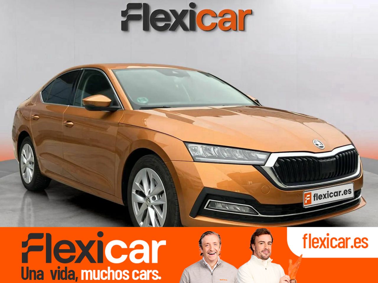 skoda octavia 2023 /