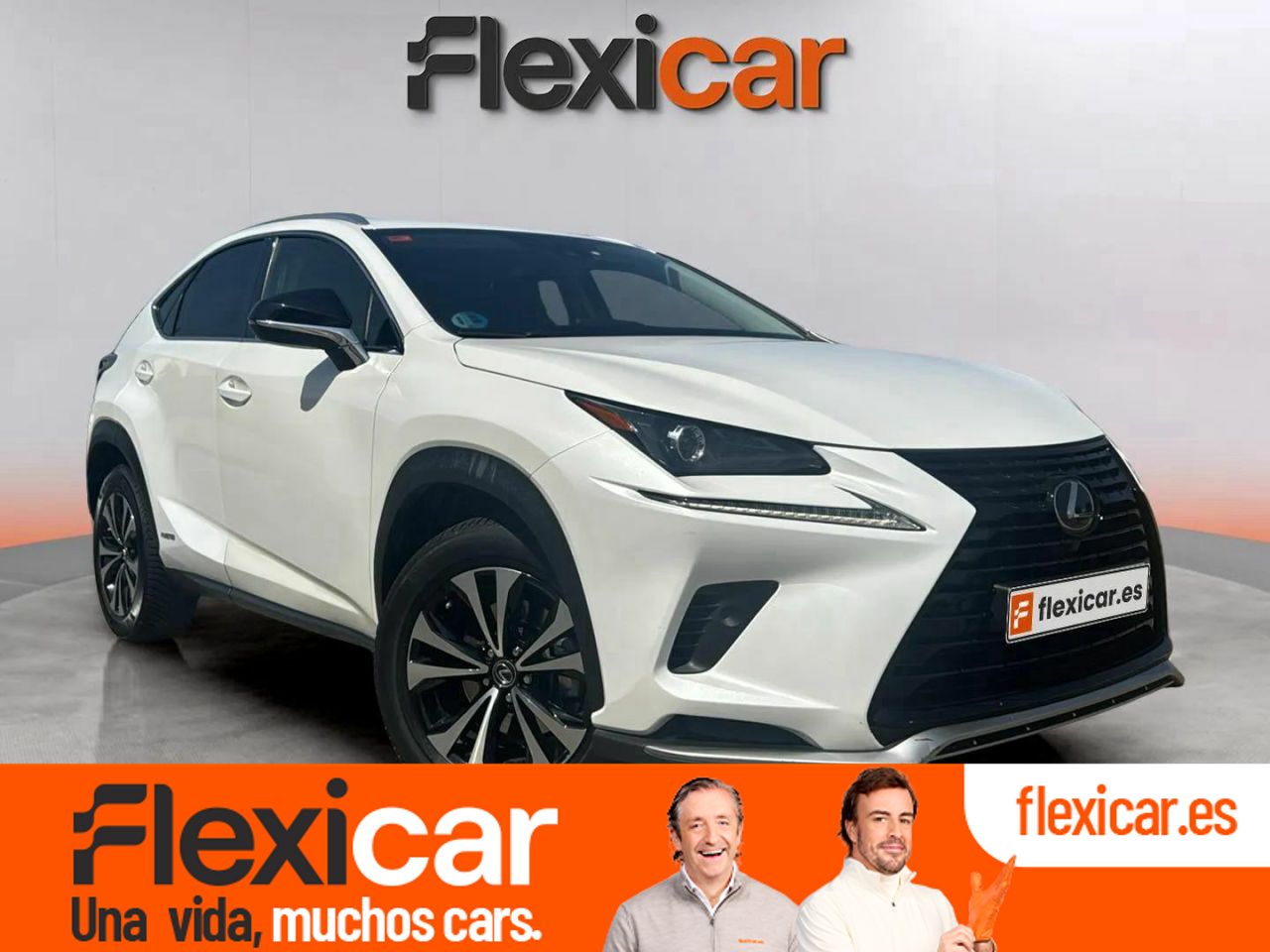 Foto lexus nx 2021 /