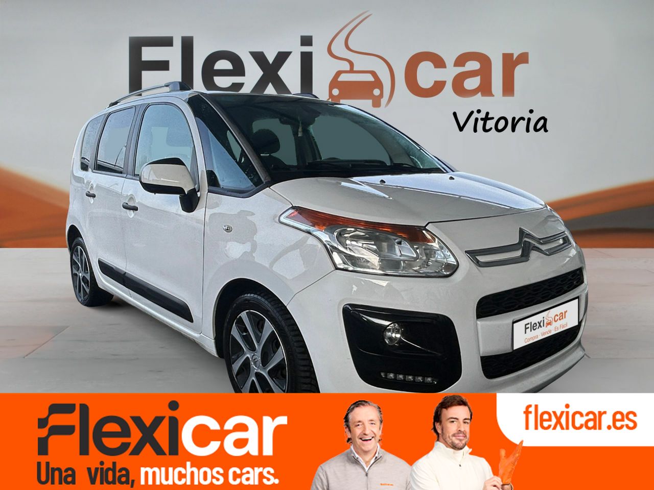 Foto citroën c3 picasso 2015 /