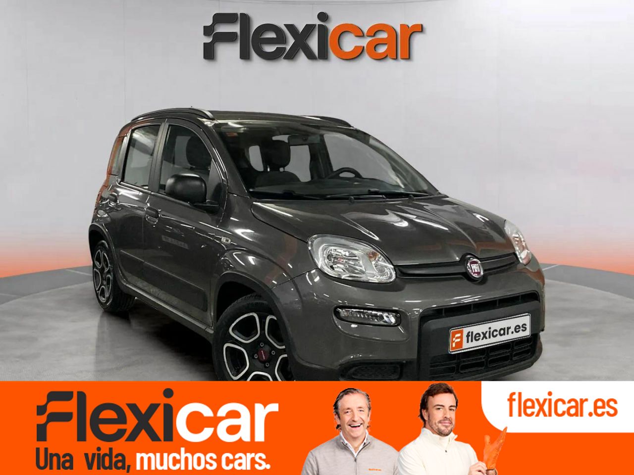 Foto fiat panda 2021 /