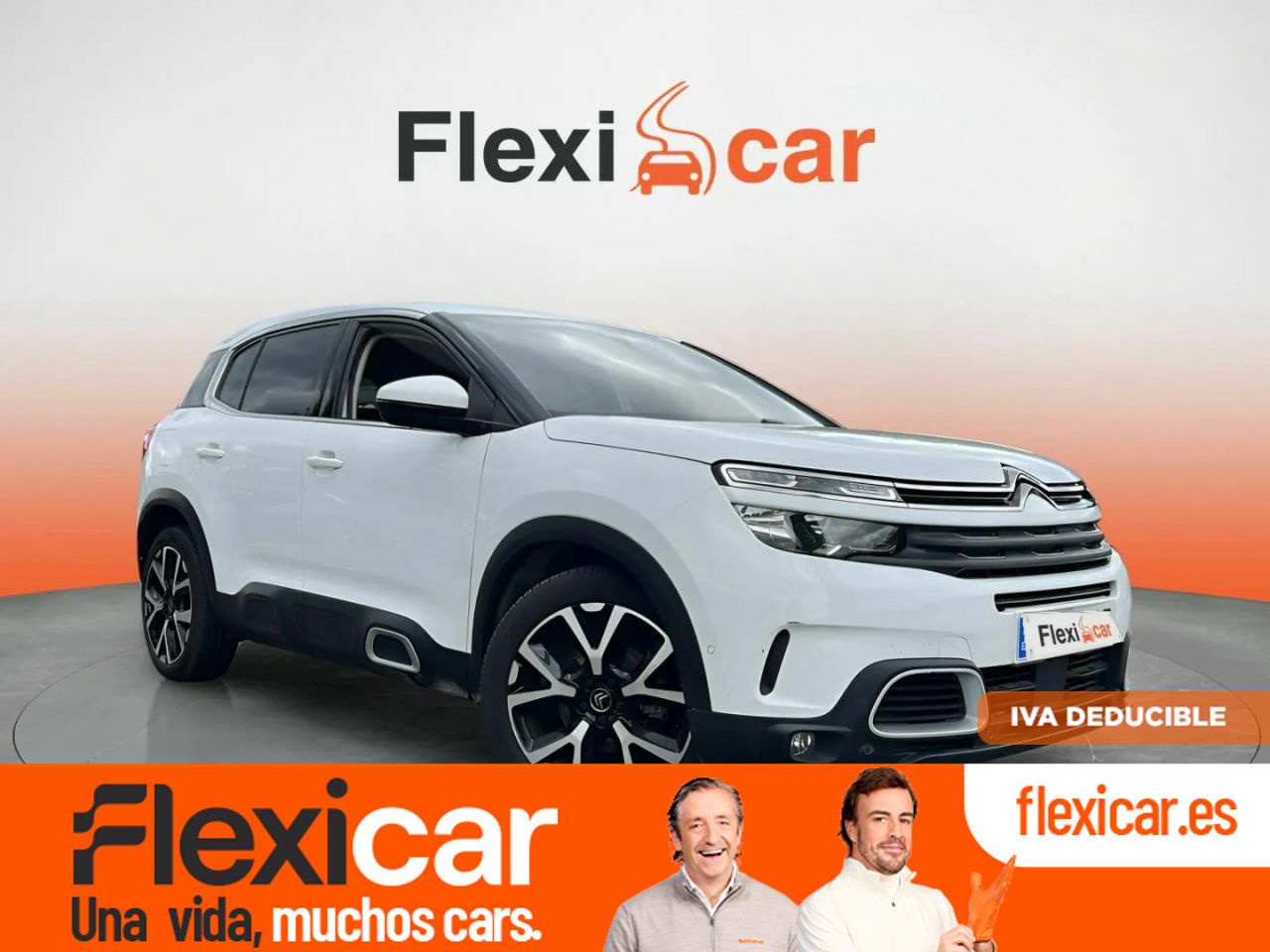 Foto citroën c5 aircross 2019 /