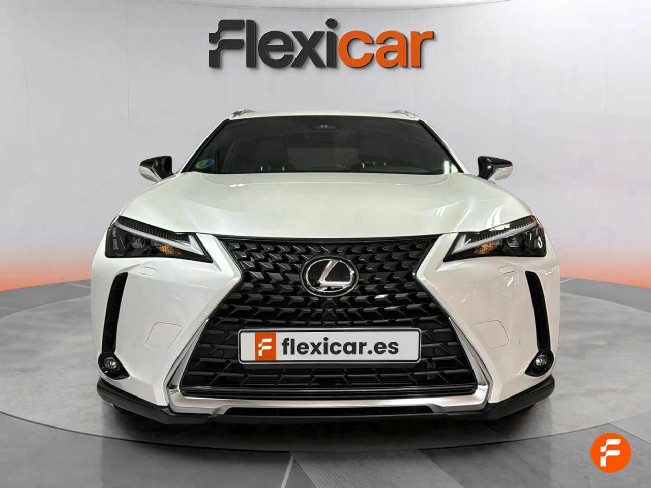 lexus ux 2024 / foto grande (2)