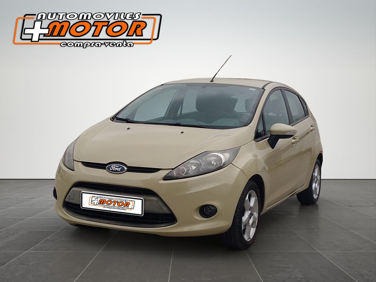 Ford Fiesta  1.4 TDCI TREND 68 CV