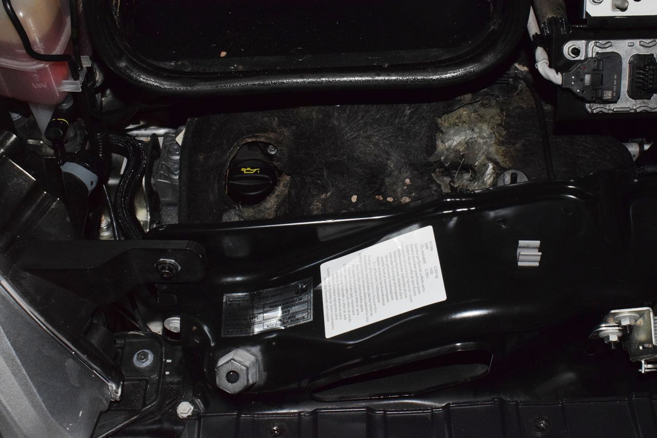 Citroën Jumper BlueHDi 88KW (120CV) Furgón 35L3H2 - Foto 36