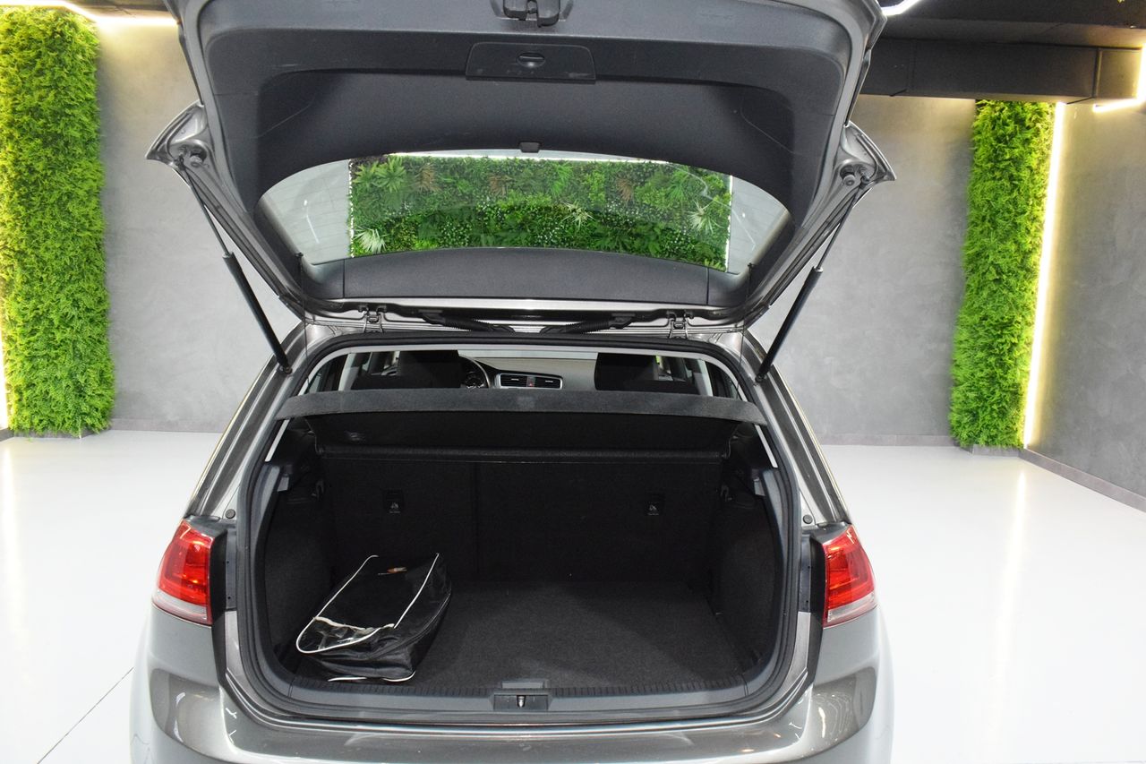 Volkswagen Golf Edition 1.6 TDI 85kW (115CV) 5 P - Foto 10
