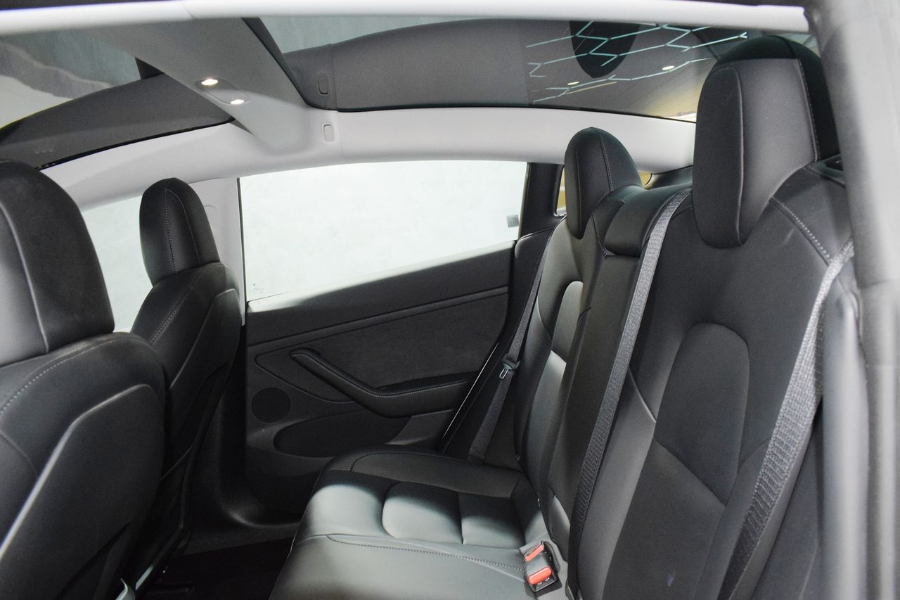 Tesla Model 3 GRAN AUTONOMIA 4WD - Foto 21