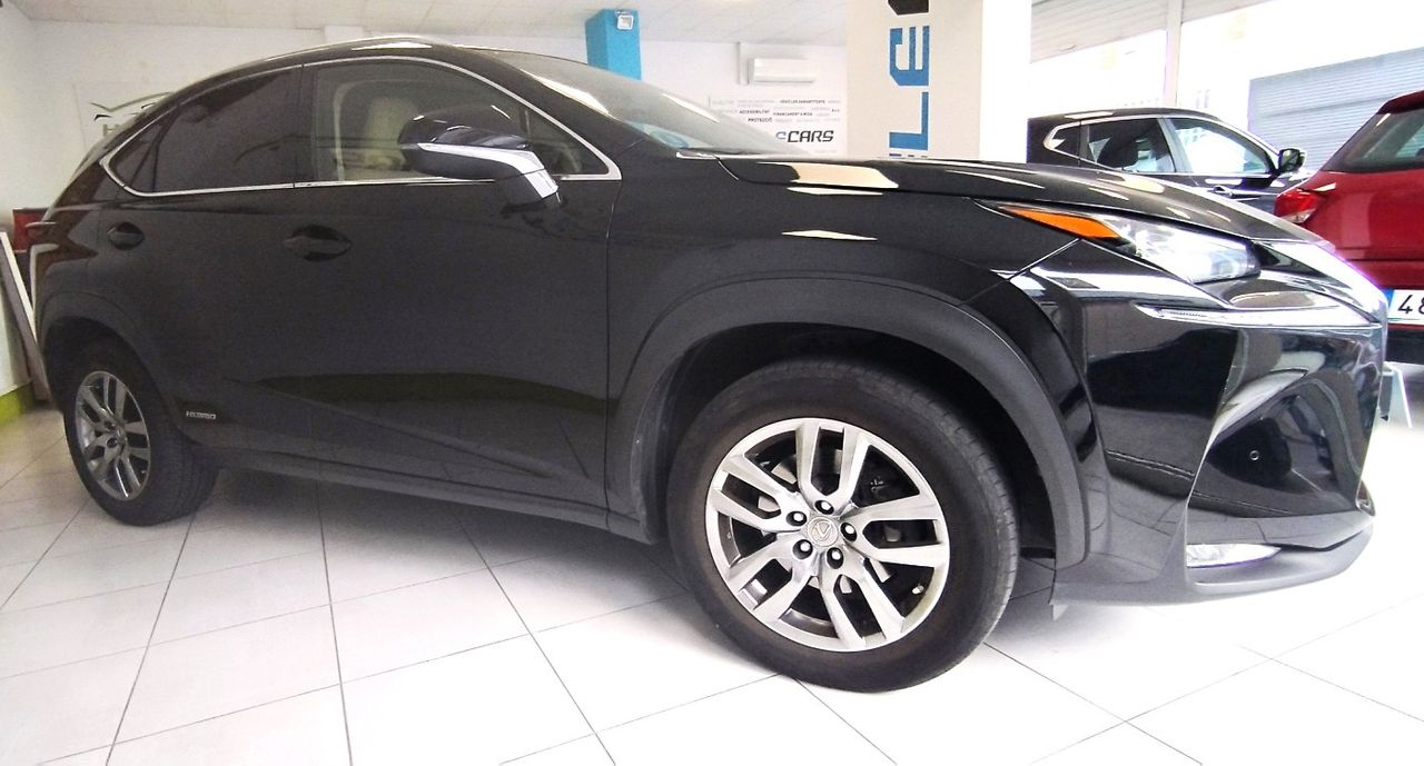 lexus nx 2014 / foto grande (3)