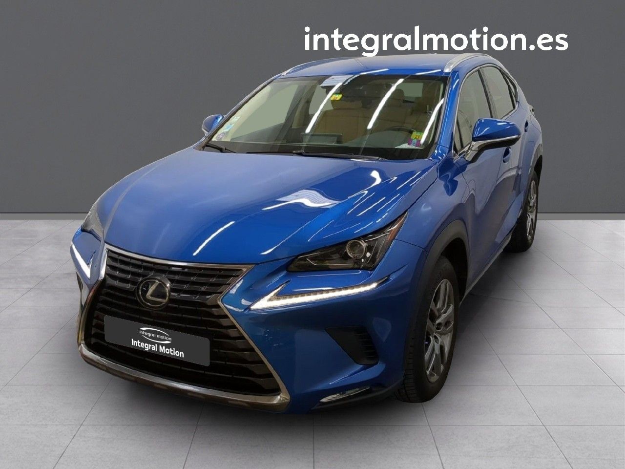 Foto lexus nx 2019 /