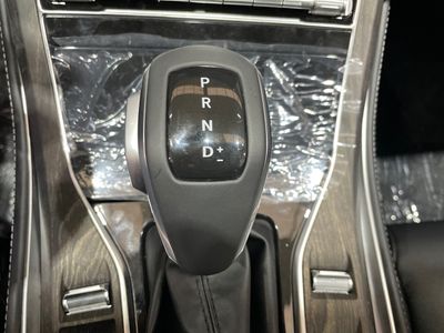 dfsk-600-600-luxury-17 Thumbnail