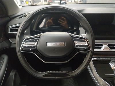 dfsk-600-600-luxury-10 Thumbnail